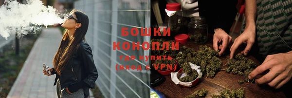 шишки Карпинск