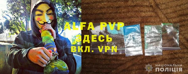амф Козельск