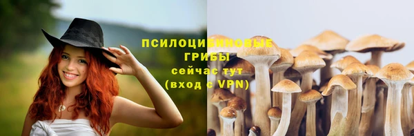 шишки Карпинск
