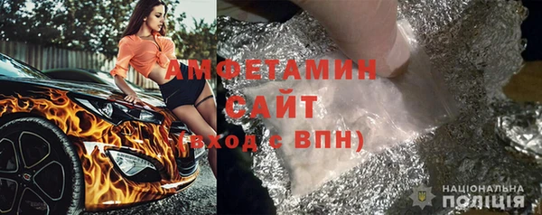 шишки Карпинск