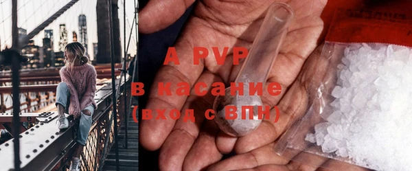 мдпв Каменногорск
