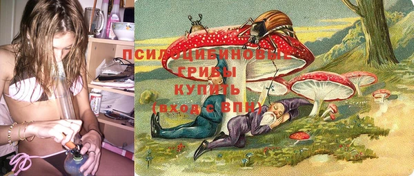амф Козельск