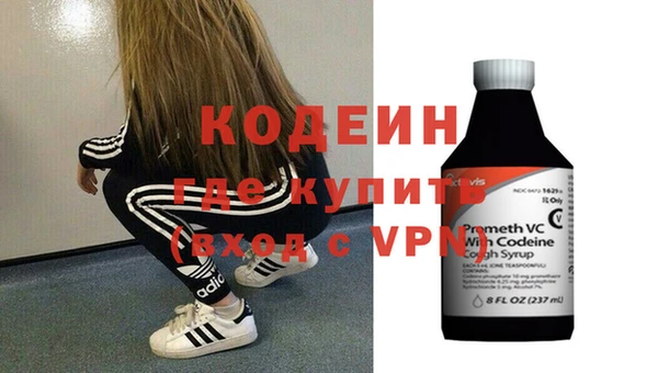 шишки Карпинск