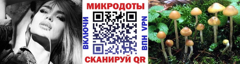 shop официальный сайт  Кохма  Галлюциногенные грибы MAGIC MUSHROOMS 