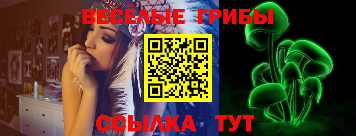 Галлюциногенные грибы GOLDEN TEACHER  Вход с VPN  Кохма 